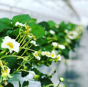 お電話でのお問い合わせについて